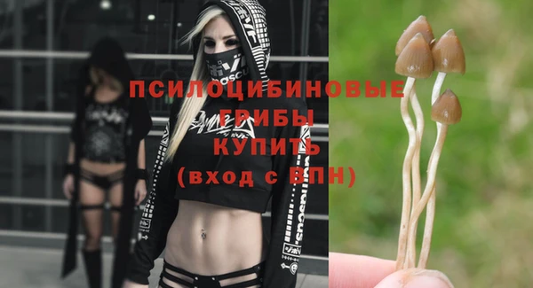 mix Белокуриха