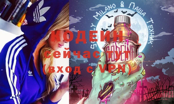прущие грибы Протвино