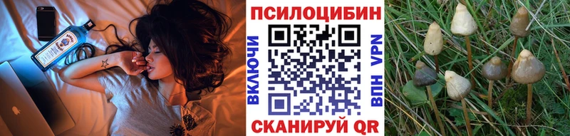 Псилоцибиновые грибы прущие грибы  купить наркотик  Мариинский Посад 